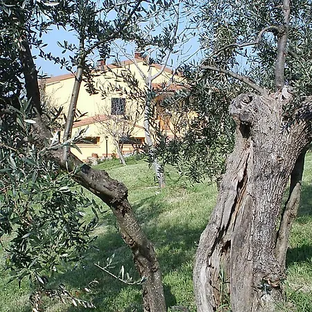 Country house Il Gelso