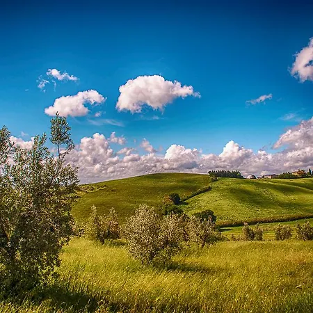 Il Gelso Pomaia