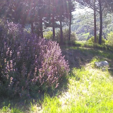 Il Gelso Country house