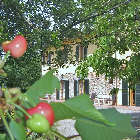 Lantställe Il Gelso